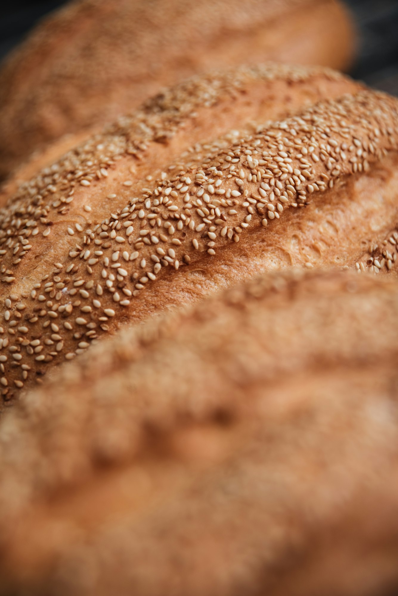 Bread at bakery